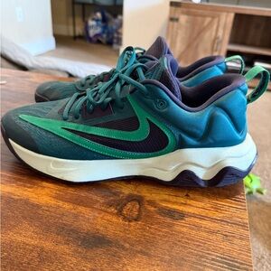 Nike Giannis teal and green basket ball shoes